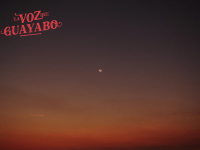Luna de Verano