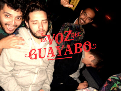 Cien guayabos por contar